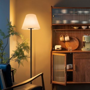 Outdoor/indoor Touch Control RGB LED โคมไฟพื้น, โคมไฟยืน Europian Standing ทันสมัยโคมไฟตั้งพื้นสำหรับห้องนั่งเล่น, ห้องนอน, โรงแรม, สวน, สำนักงาน (11*60.2 น...