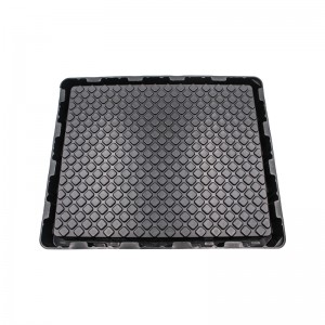 ทรากพุพอง