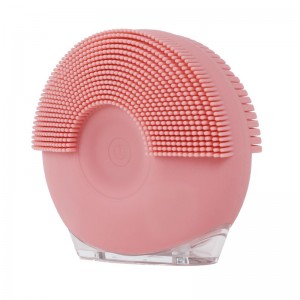 แปรงใบหน้า