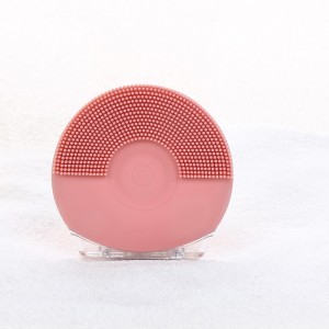 แปรงใบหน้า