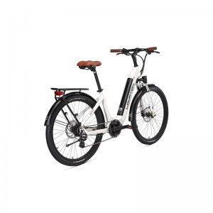 ปลาโลมา