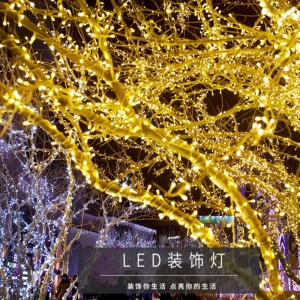 LED Christmas Lights กันน้ำไฟกลางแจ้ง Fairy สำหรับคริสต์มาสปีใหม่จัดงานแต่งงาน