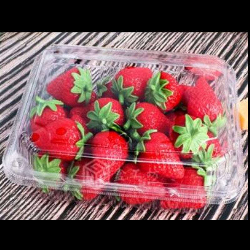 กล่องผลไม้พร้อมฝา 175*135*55 มม. HGF-300B