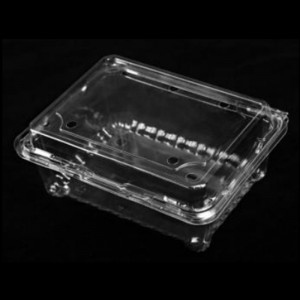 กล่องผลไม้พร้อมฝา 175*137*75 มม. HGF-500M