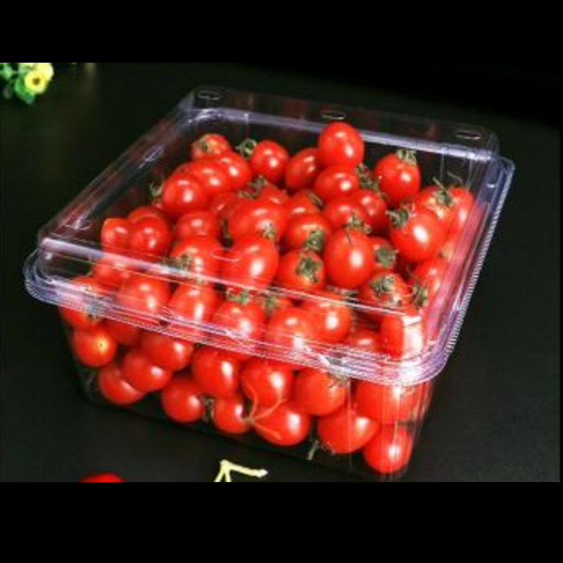 กล่องผลไม้พร้อมฝา 175*175*90 มม. HGF-1000G