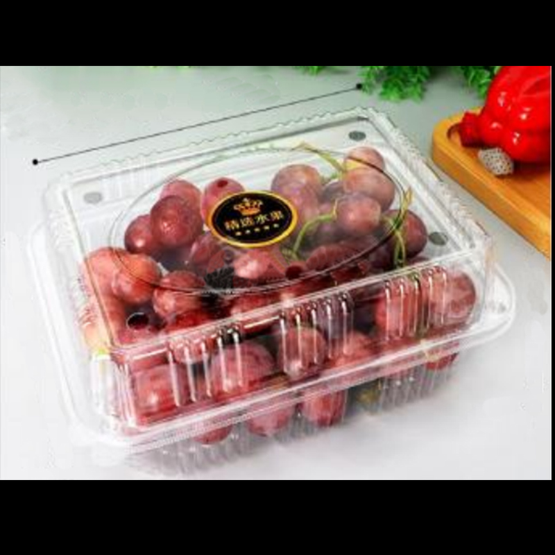 กล่องผลไม้พร้อมฝา 225*170*90 มม. HGF-1000H