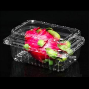 กล่องผลไม้พร้อมฝา 213*153*95 มม. HGF-750C