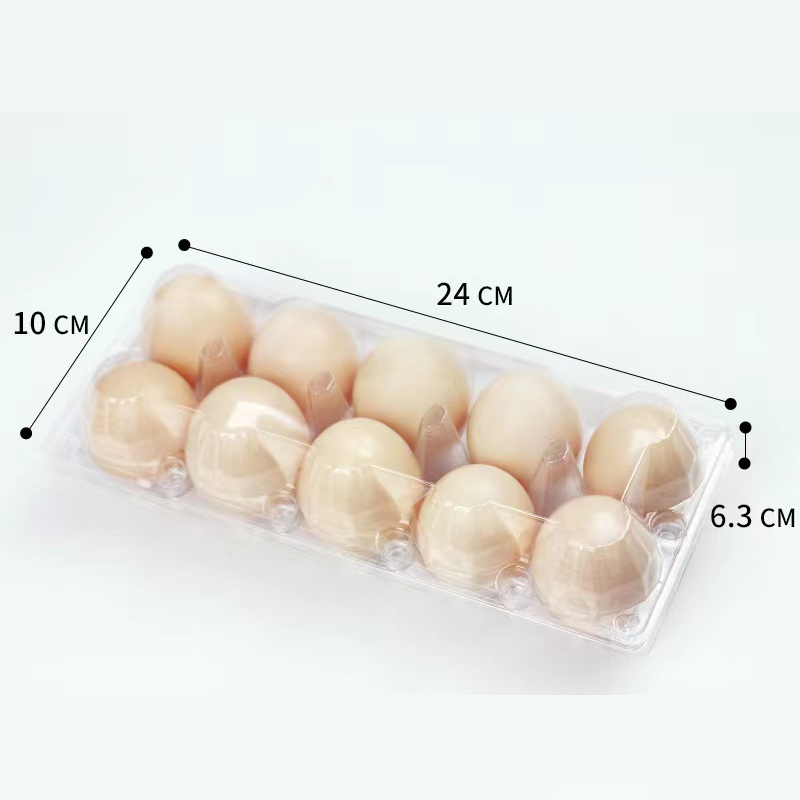 ถาดไข่ (ปานกลาง) 240*100*63 มม. 10 ร่อง