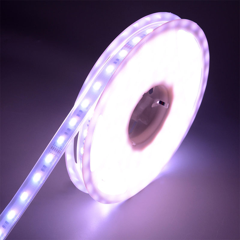 5050 60LEDS/m WRGBWW LED Strip