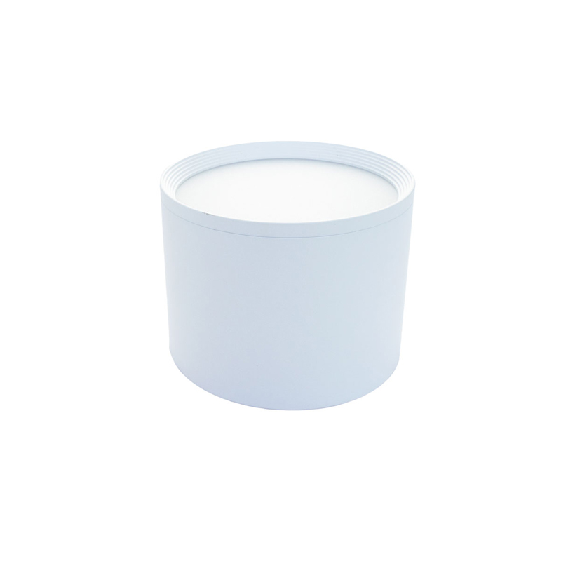 LED Down Light