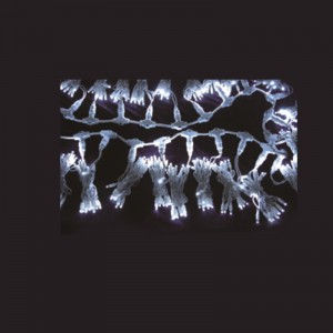 ชุดไฟคริสต์มาส LED