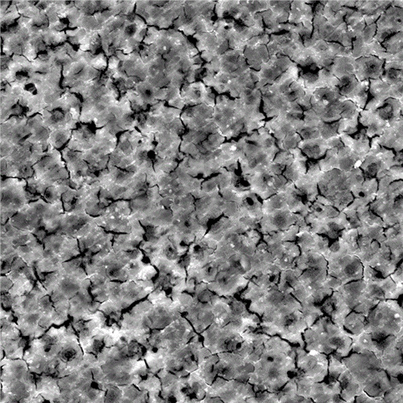 เทคโนโลยีการฉีดพ่นของแมกนีเซียมอัลลอยด์