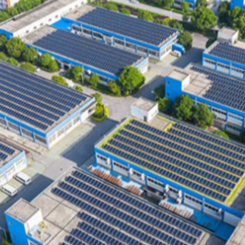 เราอยู่ที่นี่เสมอกับแสงแดด