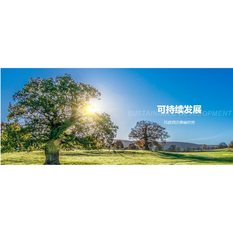 เราอยู่ที่นี่เสมอกับแสงแดด