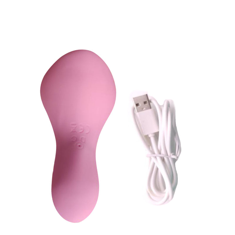 Toy Sex Toy Vibrating Vibrator Vibrator (Pink Petal)