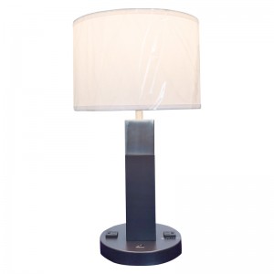 สองโทนสีดำและแปรงโคมไฟเท่