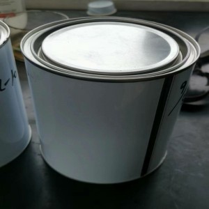 อะคริลิคเรซินที่ใช้งานได้