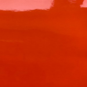 หนัง PU สิทธิบัตร