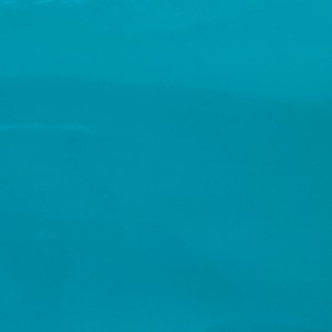 หนัง PU สิทธิบัตร