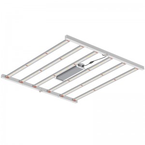 800W 4*4ft เต็มสเปกตรัมพืชสวนแสงสำหรับเรือนกระจกในร่มหรือไฟ LED ที่เติบโตในเชิงพาณิชย์เติบโต