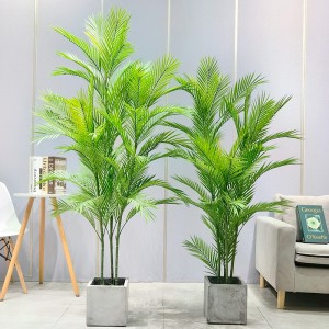ราคาโรงงานขายส่ง Areca Palm Dypsis lutescens ต้นปาล์มเทียมที่ปรับแต่งได้ด้วยกระถาง