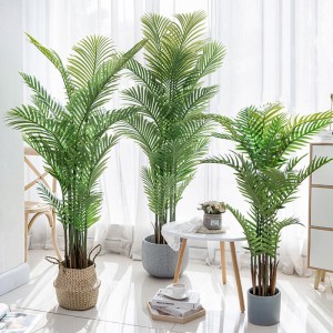 ราคาโรงงานขายส่ง Areca Palm Dypsis lutescens ต้นปาล์มเทียมที่ปรับแต่งได้ด้วยกระถาง