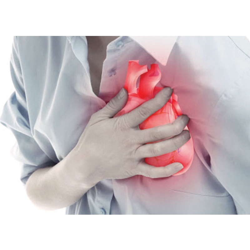 มหาวิทยาลัยการแพทย์หนานจิง: NMN ปรับปรุงกล้ามเนื้อหัวใจตาย