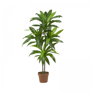 ฝ่ามือสัมผัสจริง(ในร่ม&กลางแจ้ง)