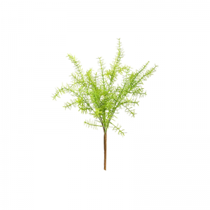 สาหร่ายทะเลเทียมเฟิร์น