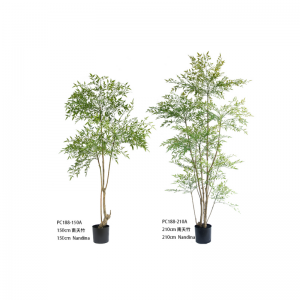 นานเดียน