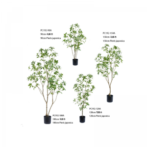 ปิแอร์ส จาโปนิกา