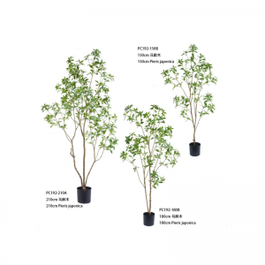 ปิแอร์ส จาโปนิกา