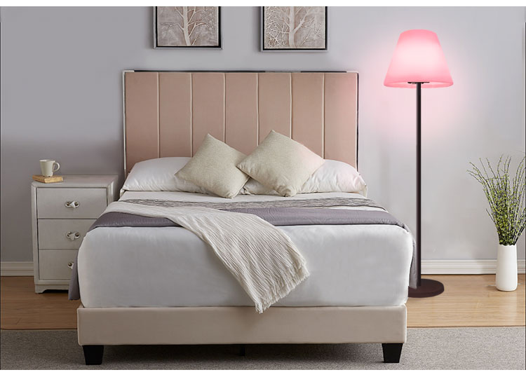 1655432856.jpg O1CN017HN7C22EOgLiHX3st_!!3163478735.jpg