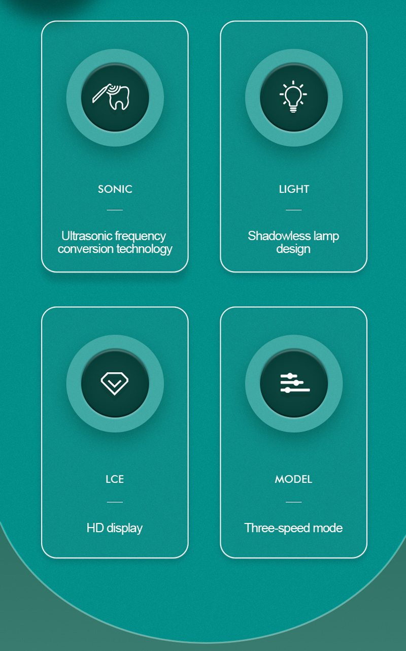 1664352164.jpg 02.jpg