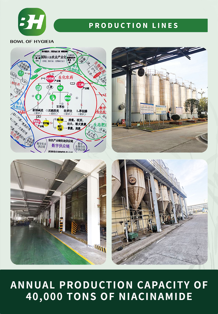 1704264823.jpg 3.jpg