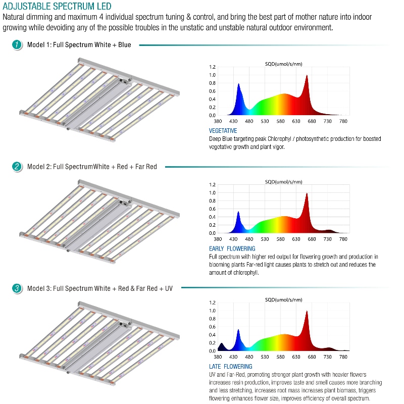 1703303736.jpg 800W-2.jpg